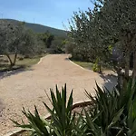 Mediterranean Olive Waterfallskrka-croatia 度假居