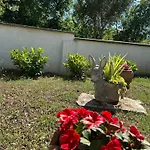 Mediterranean Olive Waterfallskrka-croatia Vakantiehuis *