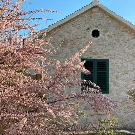 Casa de Férias Mediterranean Olive Waterfallskrka-croatia *