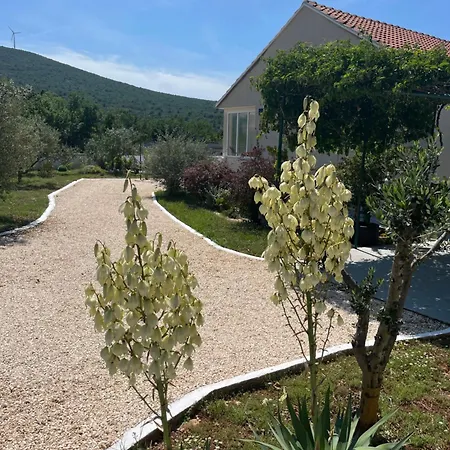 Holiday home Mediterranean Olive Waterfallskrka-croatia Gulin