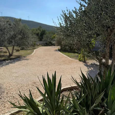 Mediterranean Olive Waterfallskrka-croatia Holiday home