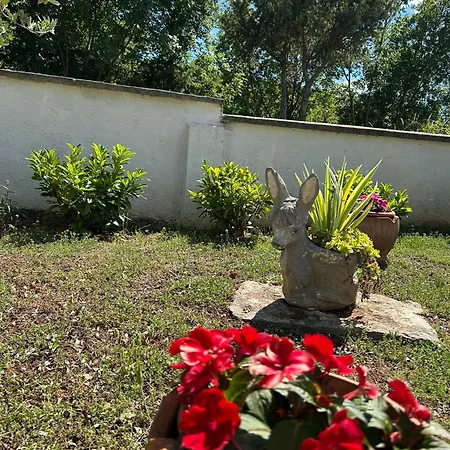 Mediterranean Olive Waterfallskrka-croatia Holiday home *