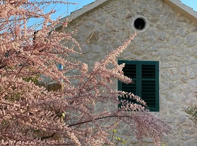 Casa de Férias Mediterranean Olive Waterfallskrka-croatia *